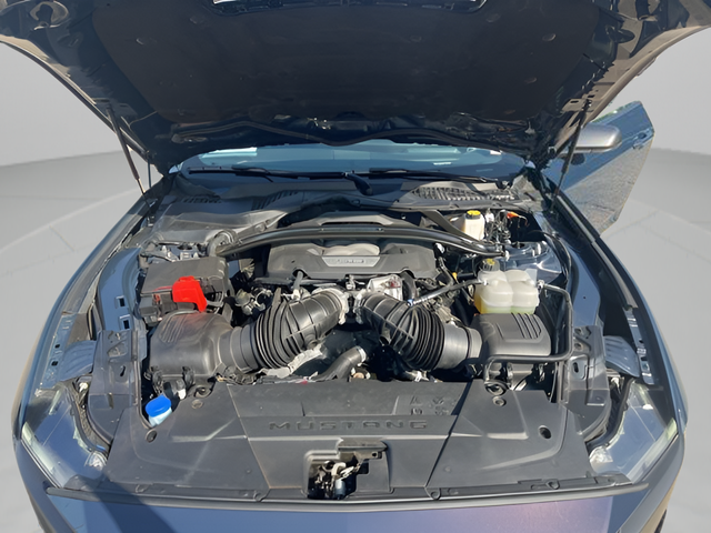 2024 Ford Mustang Dark Horse