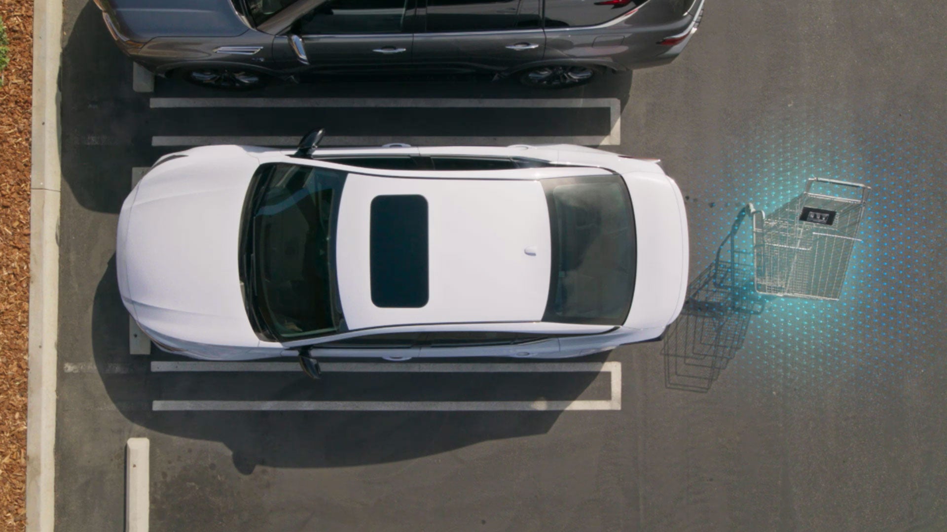 2026 Nissan Altima | Dave Syverson Nissan in Albert Lea, MN